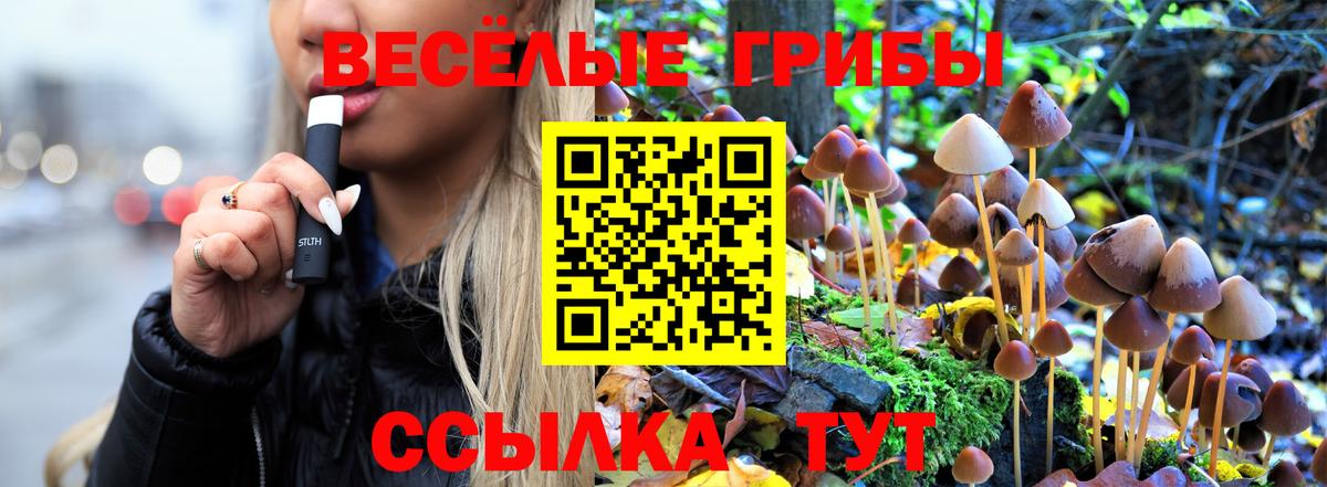 Псилоцибиновые грибы Psilocybe  Галлюциногенные грибы Psilocybine cubensis  Вход с VPN  Сорочинск 