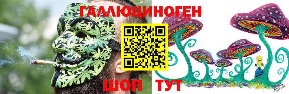 Псилоцибиновые грибы MAGIC MUSHROOMS Сорочинск